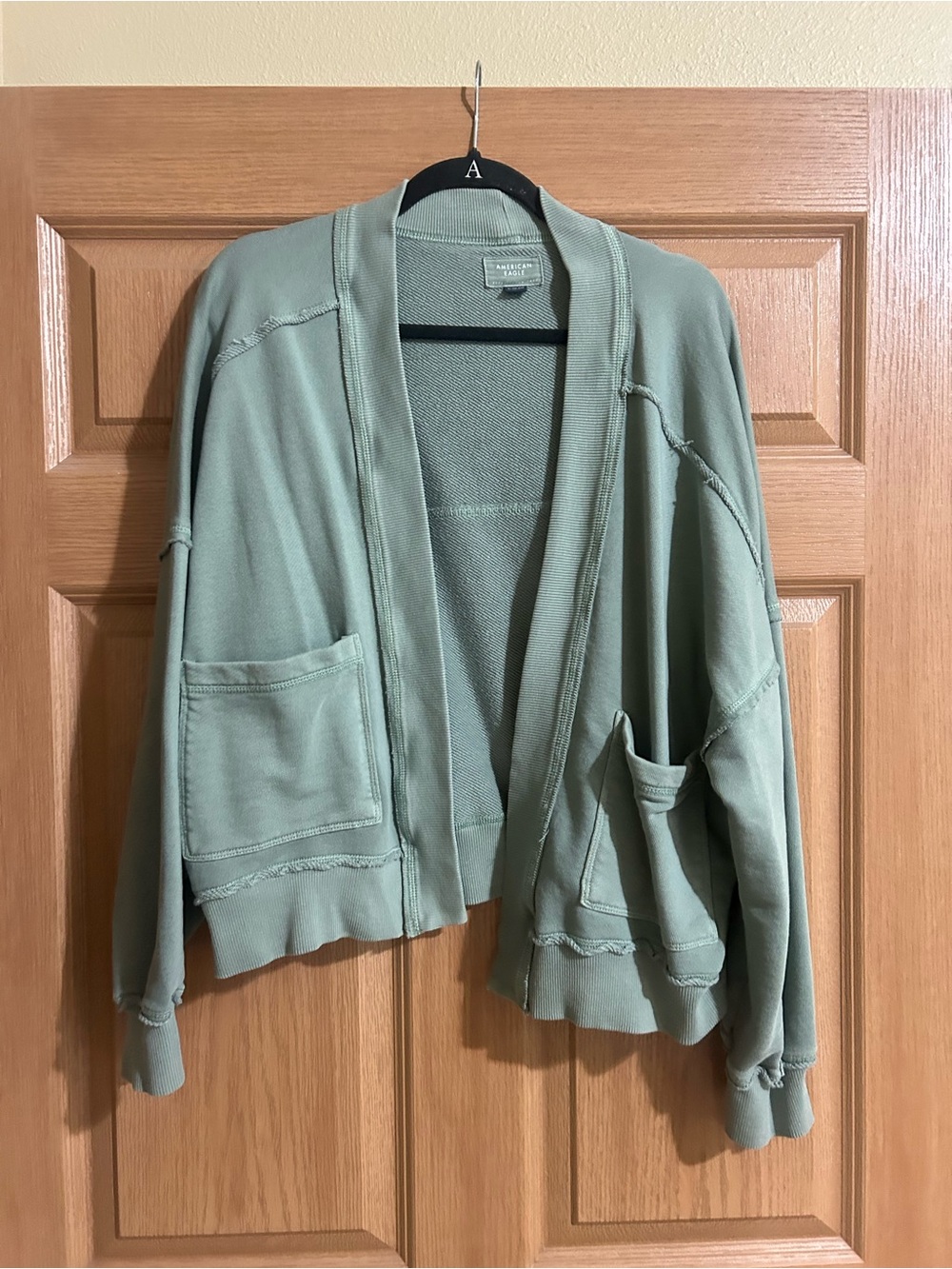 American Eagle green sweatshirt cardigan